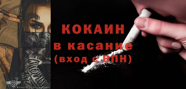 индика Надым