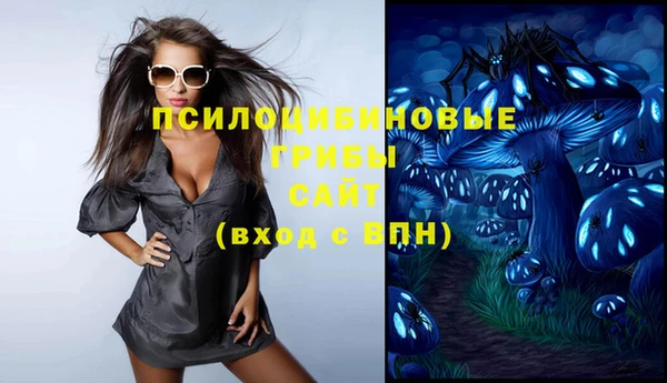ешки Михайлов