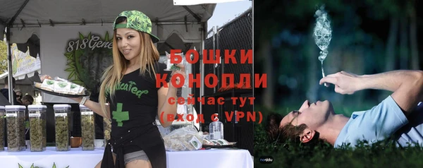 ешки Михайлов