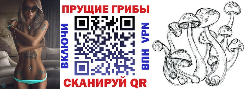 Псилоцибиновые грибы ЛСД  Ясный 