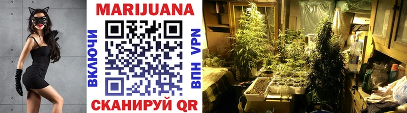 Бошки Шишки THC 21%  Ясный 
